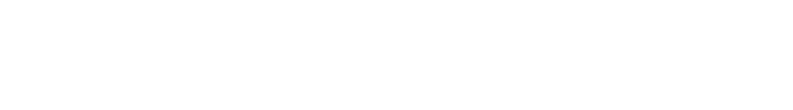 INTELLIGENCE